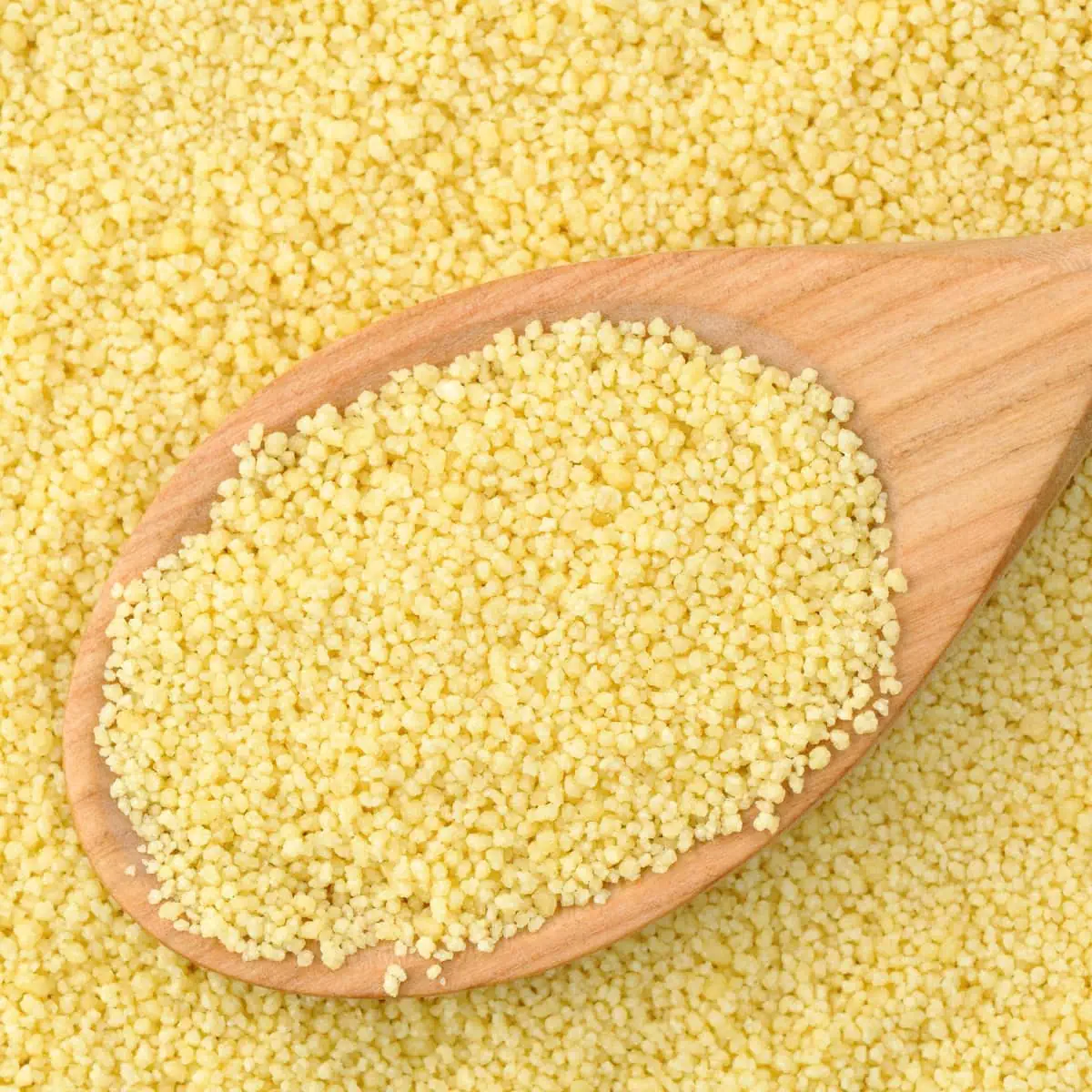 Close up shot of plain couscous with a wooden spoon. 