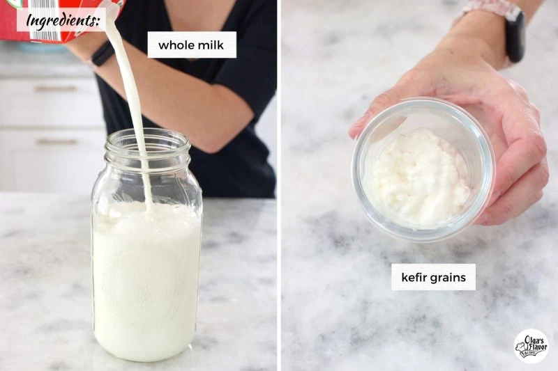 Ingredients for homemade kefir